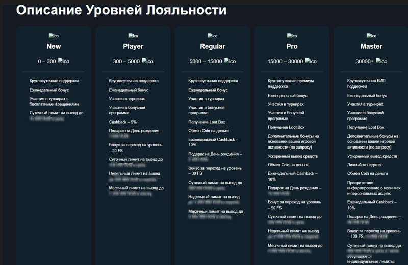 Программа лояльности