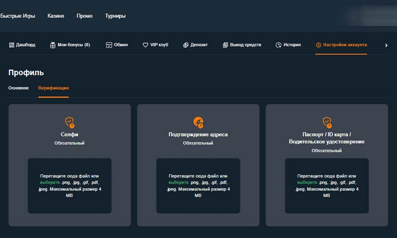 Верификация в приложении